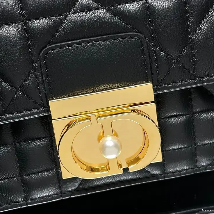 Bags Dio 2407YA0130 0817